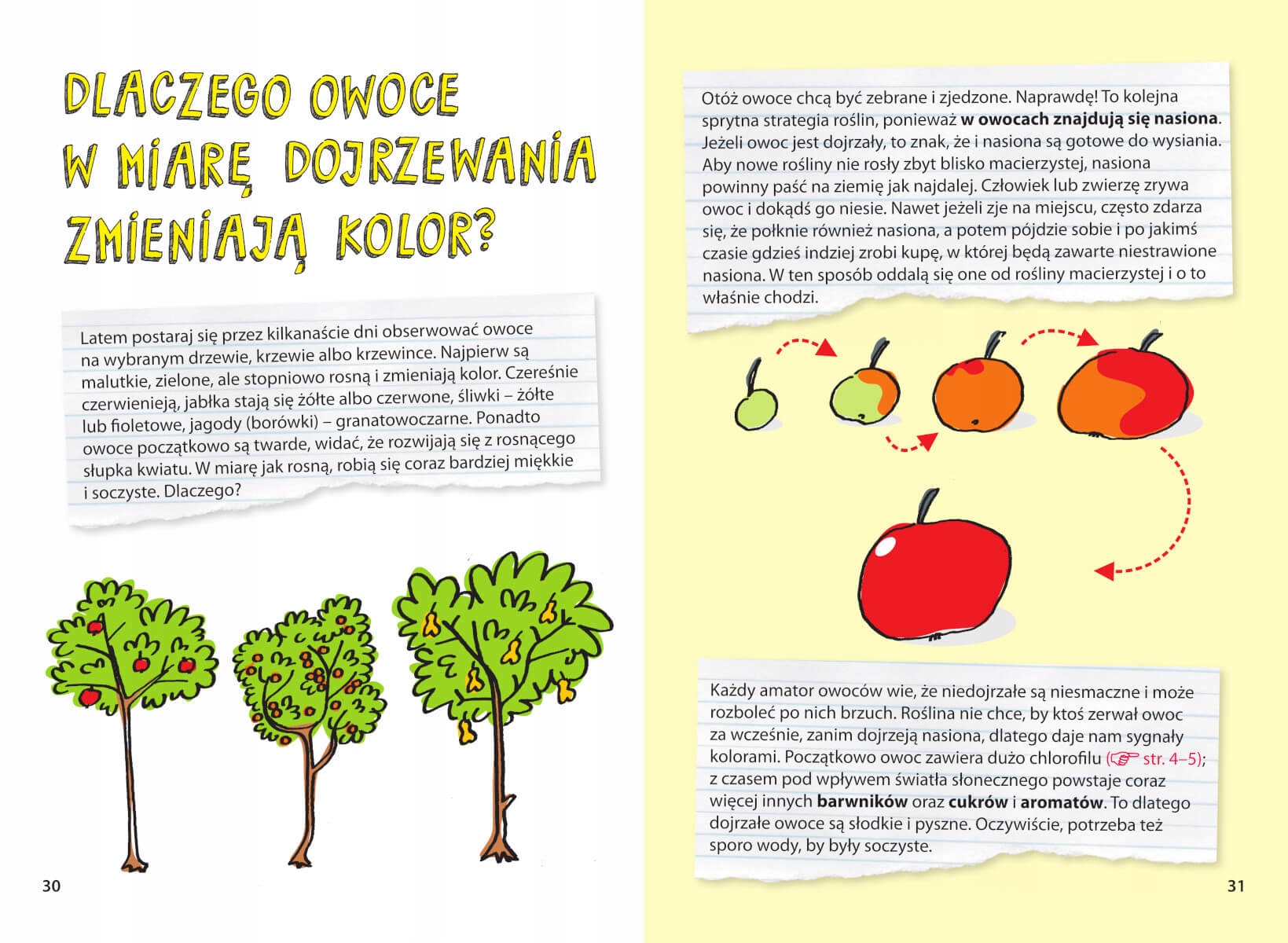 Ciekawe pytania i odpowiedzi – Odpowiedzi na nurtujące pytania