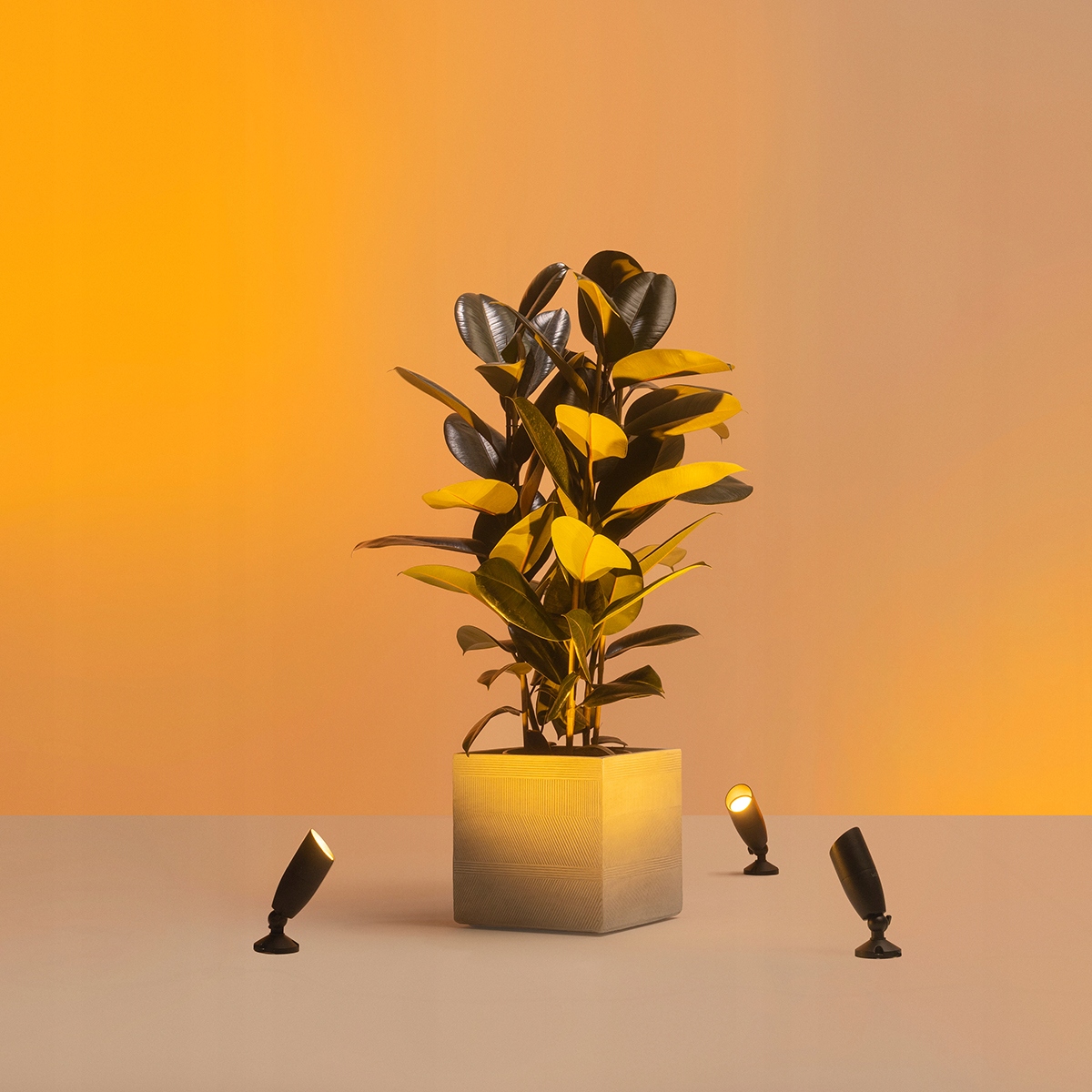 Rozszerzenie reflektorów punktowych WiZ – Idealne do zewnętrznych przestrzeni