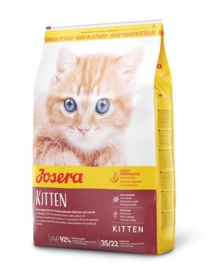 Kitten