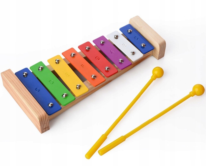 W skład zestawu wchodzą różnorodne instrumenty