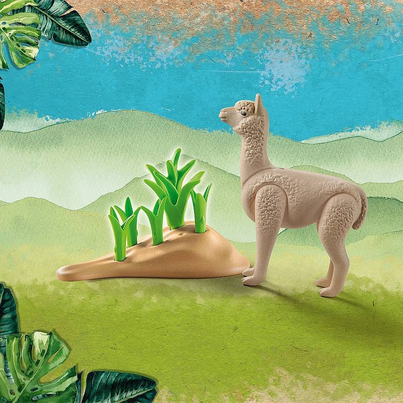 Interaktywna karta wiedzy o alpakach