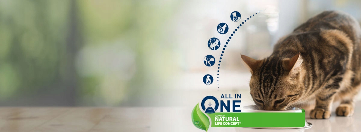 Wsparcie zdrowia stawów i układu kostnego