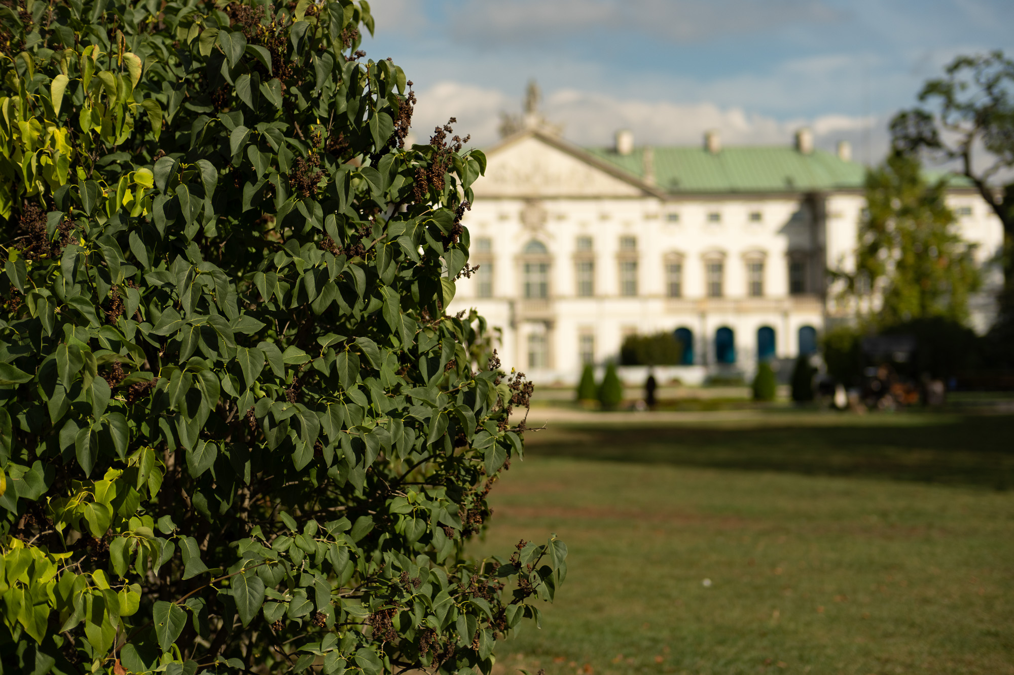 Obiektyw Voigtlander Nokton 50 mm f/1,2 do Fujifilm X