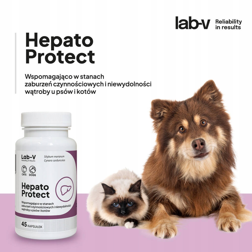 Korzyści z używania Hepato Protect