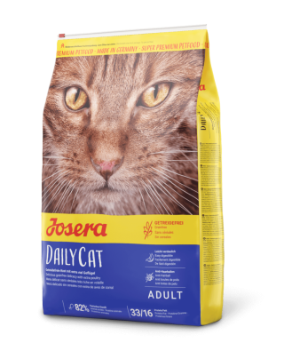 DailyCat