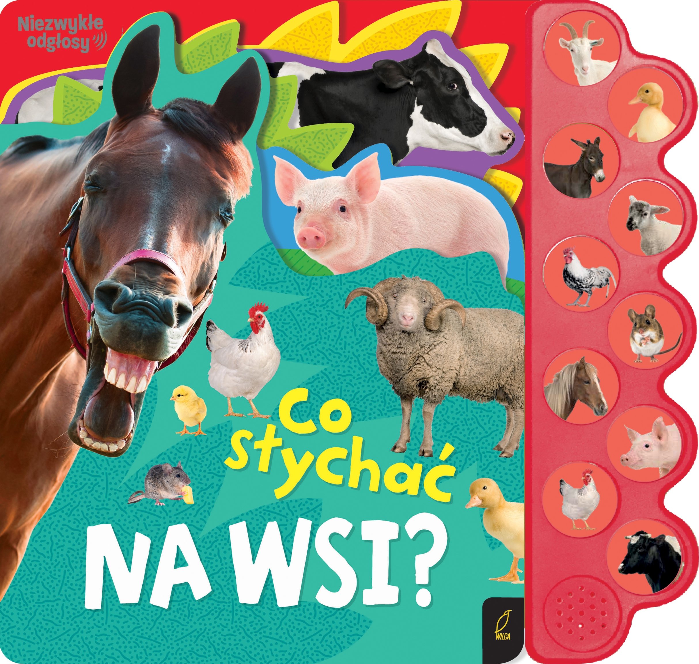 Twarda oprawa i atrakcyjna grafika