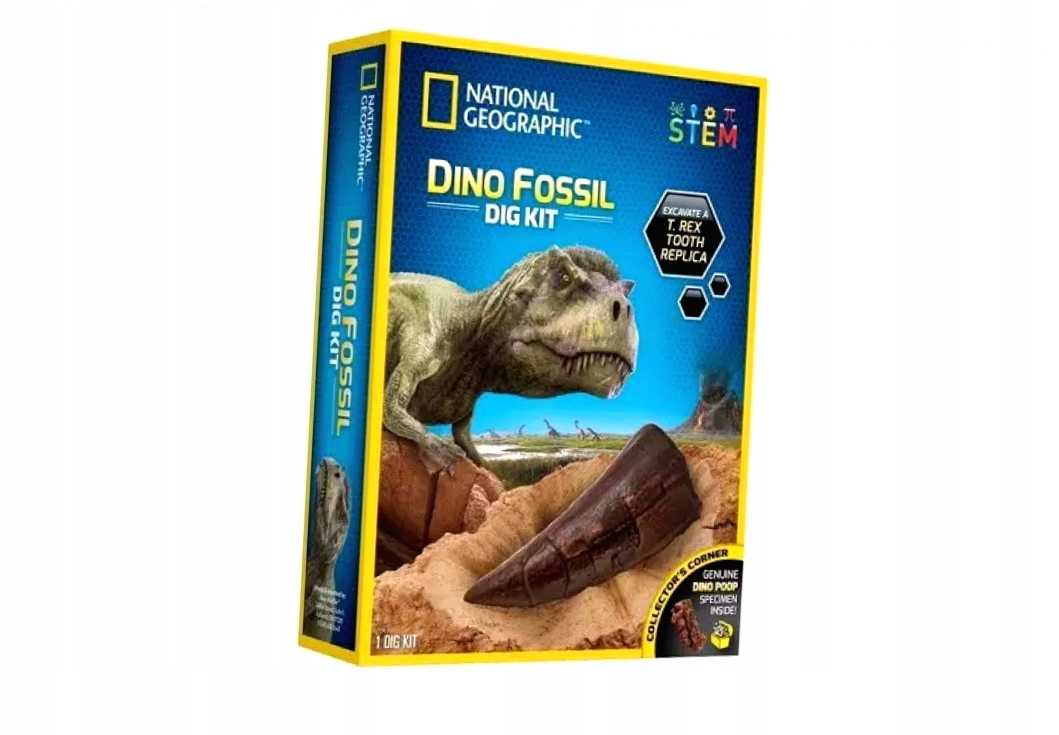 Odkrywanie skamieniałości – T. rex zęby i inne niespodzianki