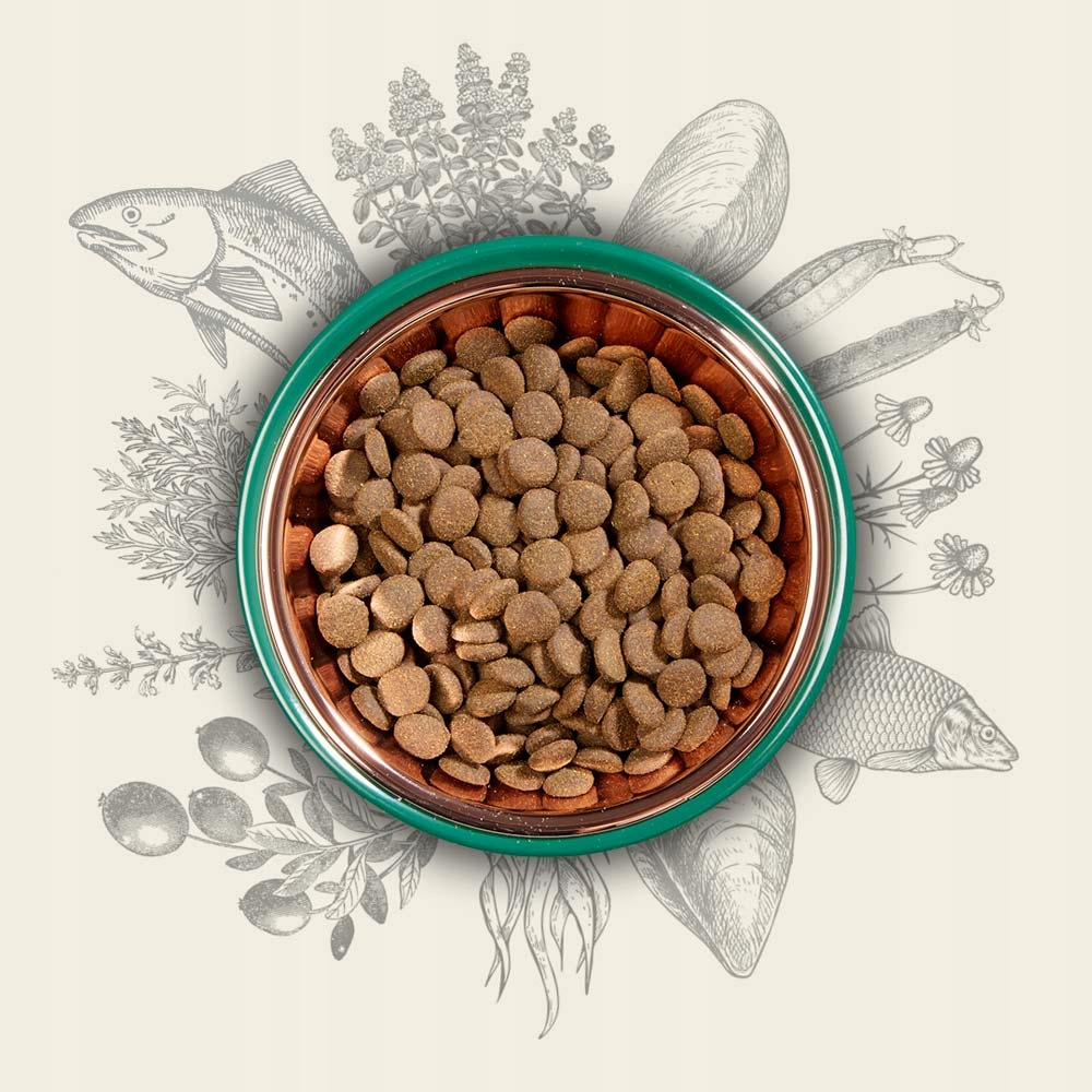 Korzyści z diety bogatej w ryby i superfoods