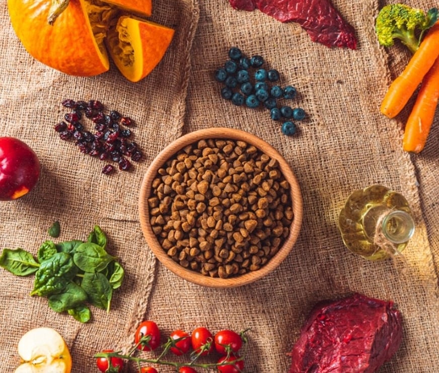 Hipoalergiczna karma z wołowiną – zdrowie i smak w jednym