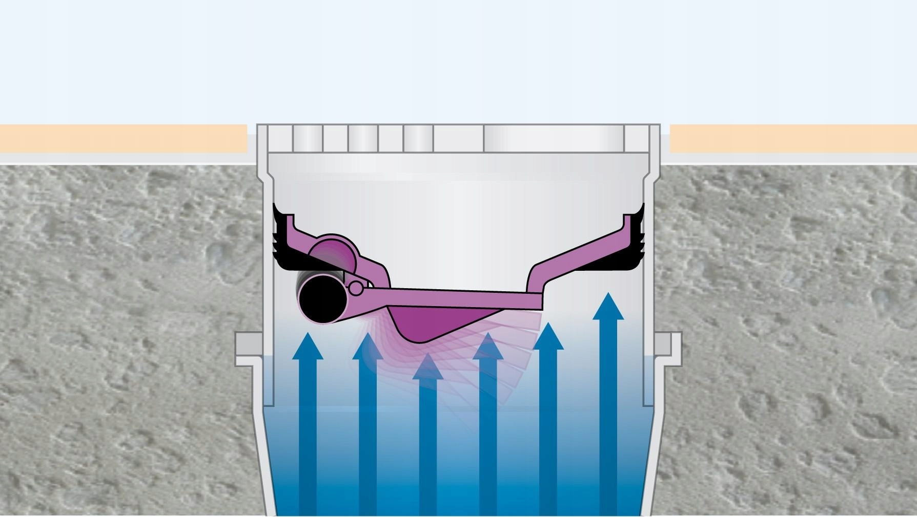 Zabezpieczenie przed nieprzyjemnymi zapachami i robactwem