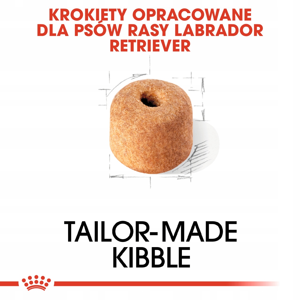 Wsparcie dla zdrowych stawów i kości