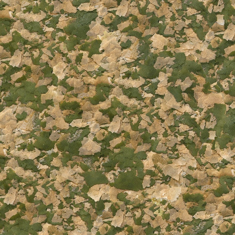 Wysoka przetwarzalność pokarmu i redukcja glonów