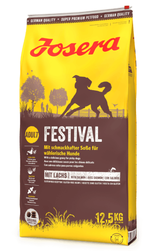 Festival