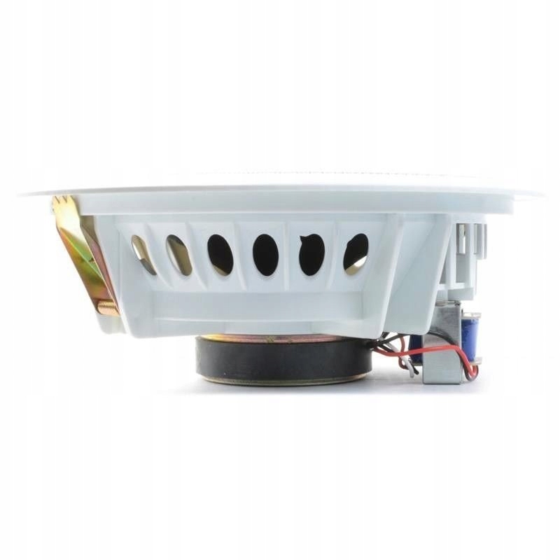 Szerokopasmowy głośnik sufitowy – Idealny do restauracji i lokali usługowych