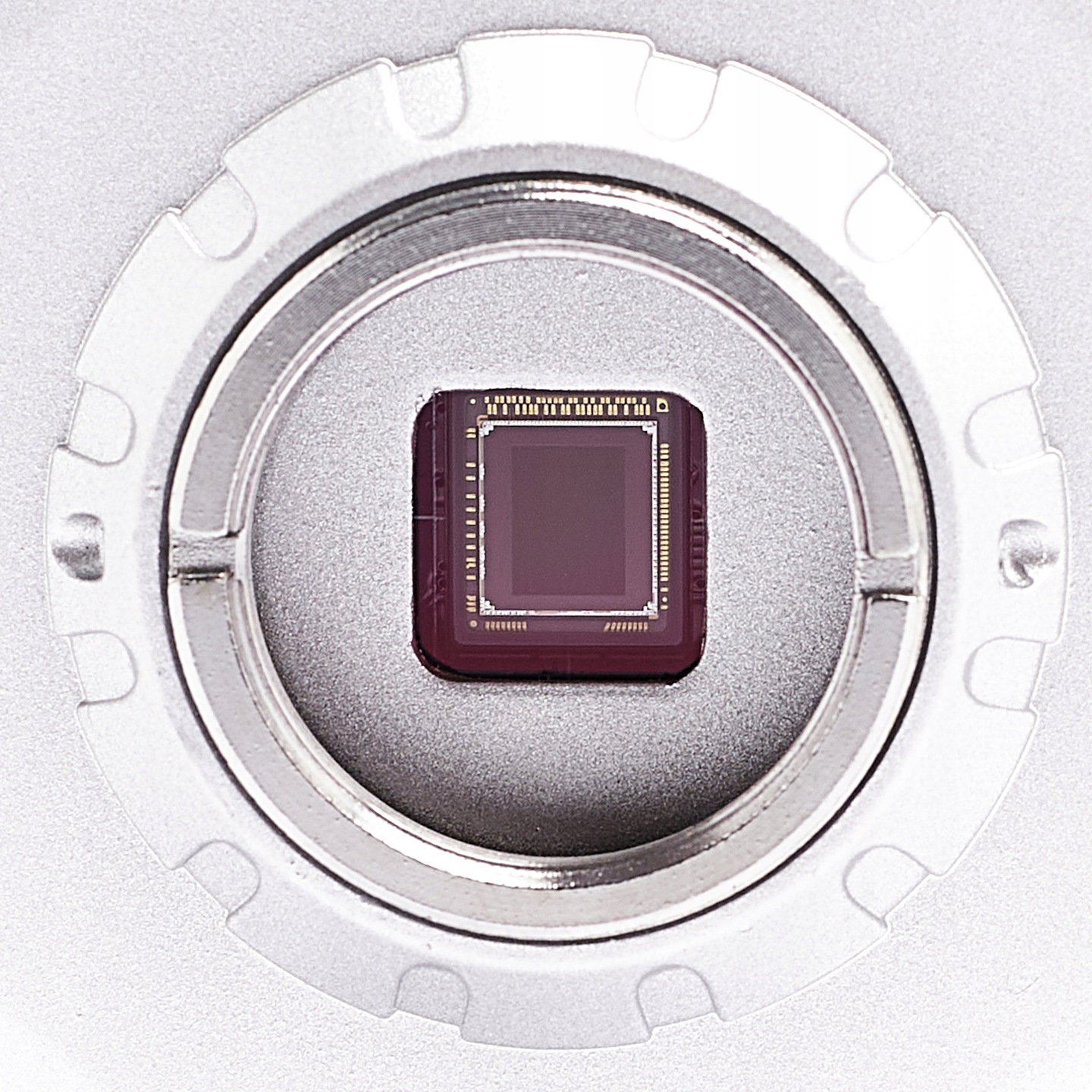 1007472219_3.jpg