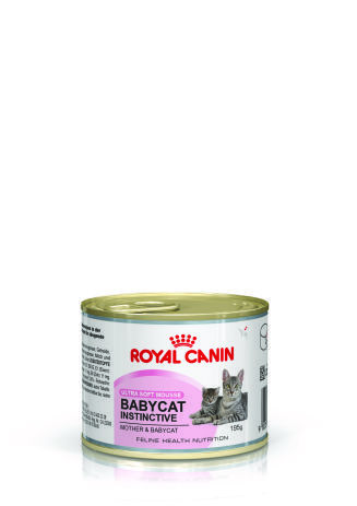 Babycat Instinctive