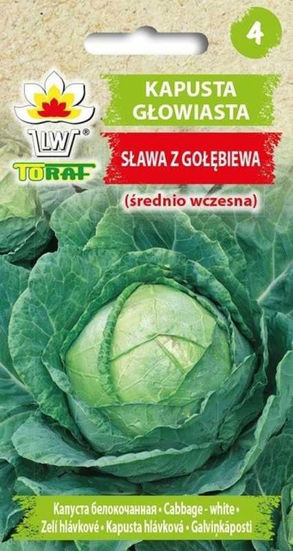 Kapusta Głowiasta Biała Sława z Gołębiewa – Idealna do Twojego Ogrodu