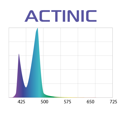 wykres actinic