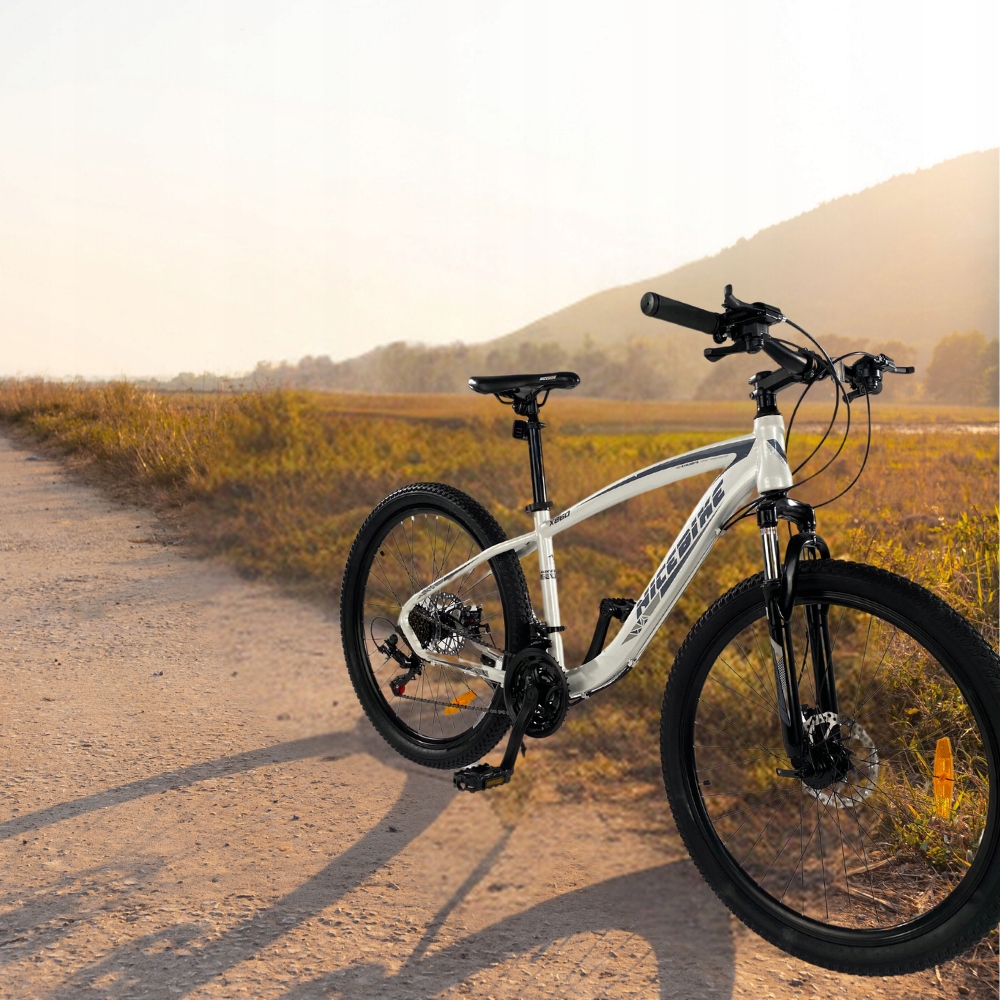 Sportowa rama ze stali cieniowanej – Stabilność i wytrzymałość