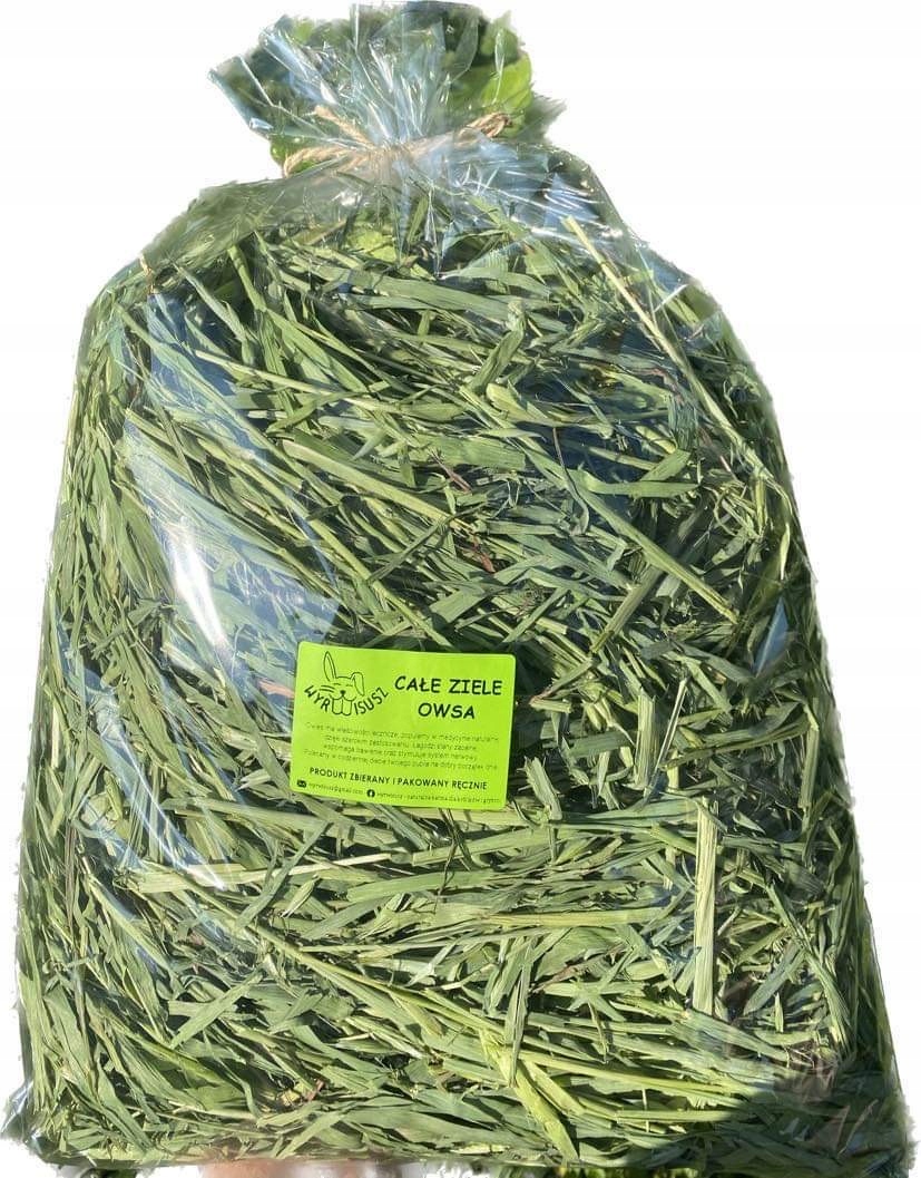 Wyrwisusz – Całe ziele owsa 500 g – przysmak dla Twojego pupila