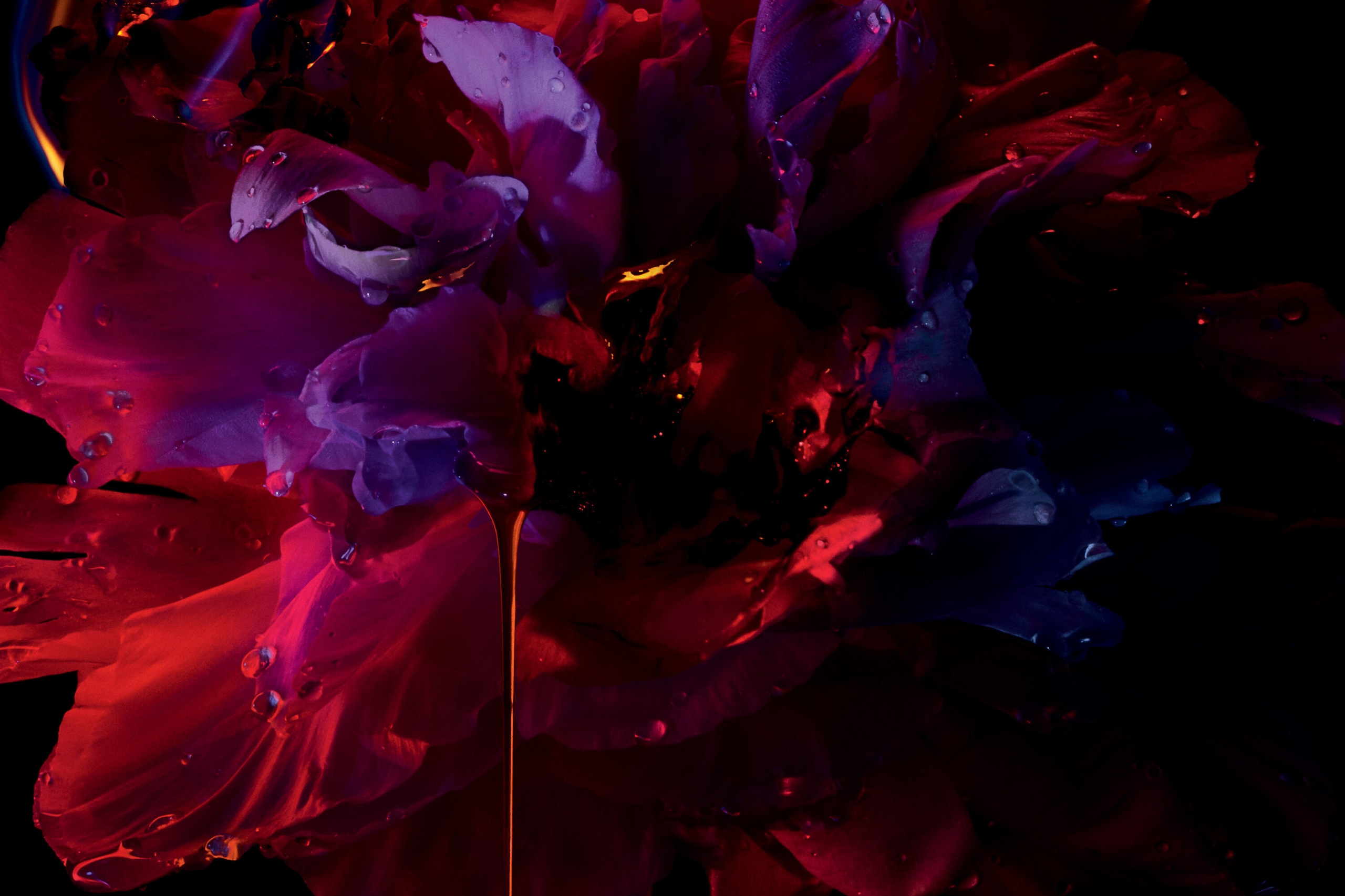 Flakon pełen elegancji – Czerwony design z purpurowymi koralikami