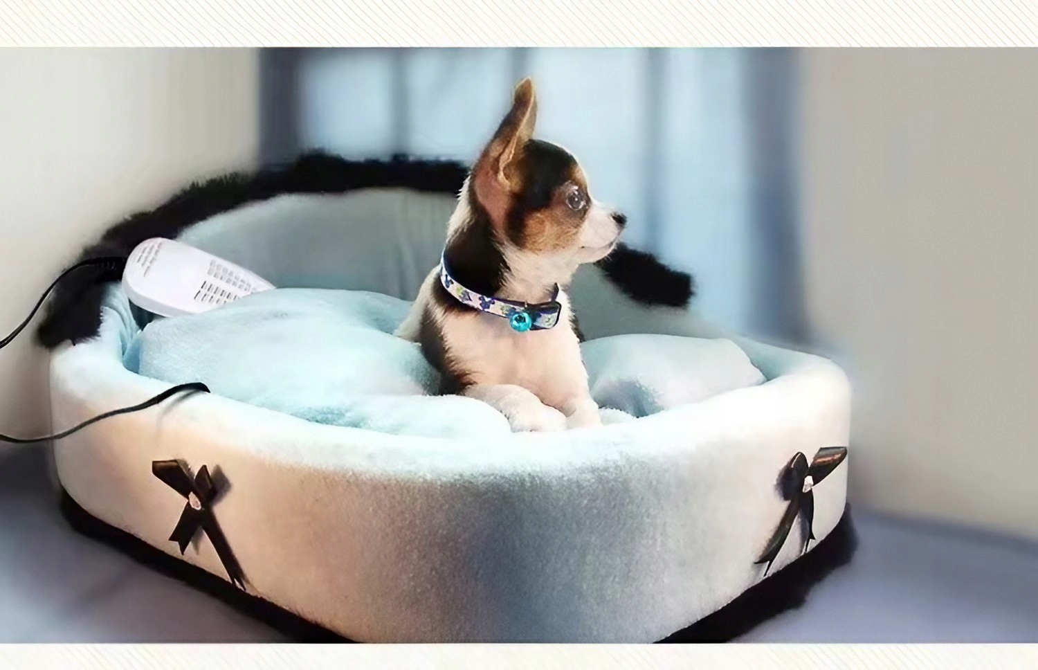 Efektywne usuwanie wilgoci i nieprzyjemnych zapachów