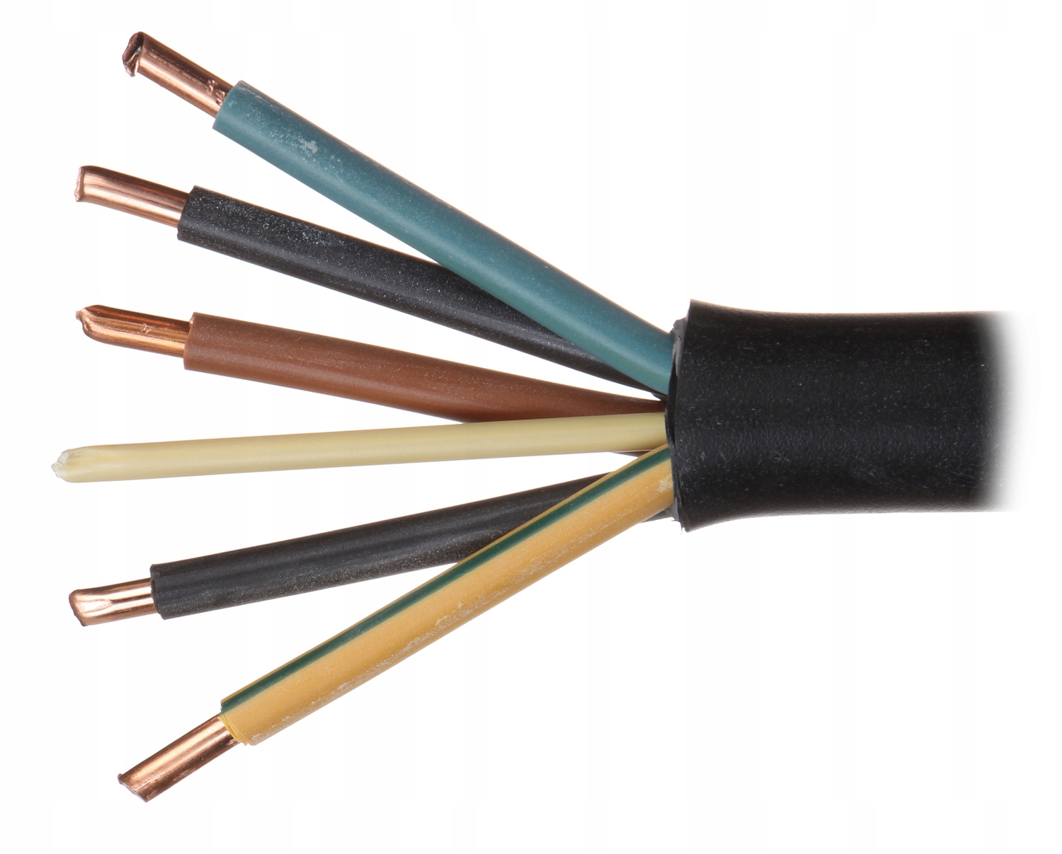 Właściwości i zalety żyły ochronnej