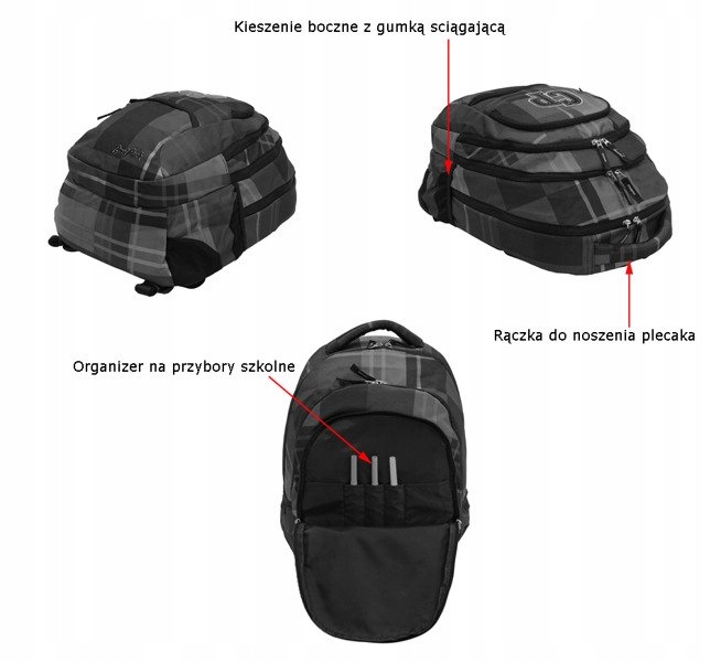 3872591_2.jpg