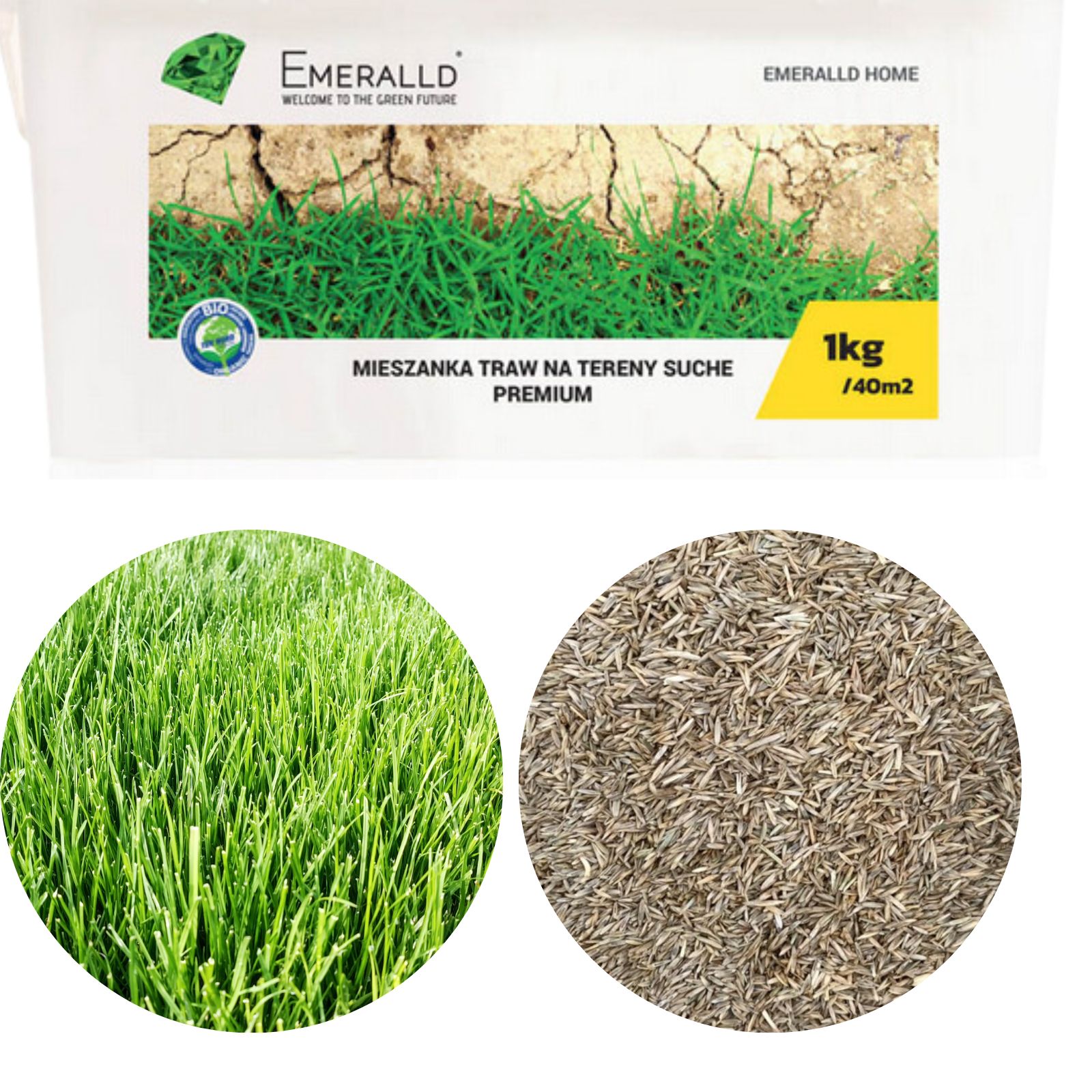 Odporność na suszę i intensywne nasłonecznienie