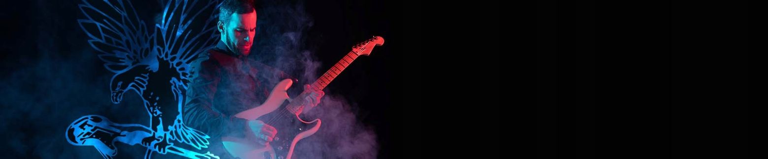 Zastosowanie w audio i instrumentach muzycznych