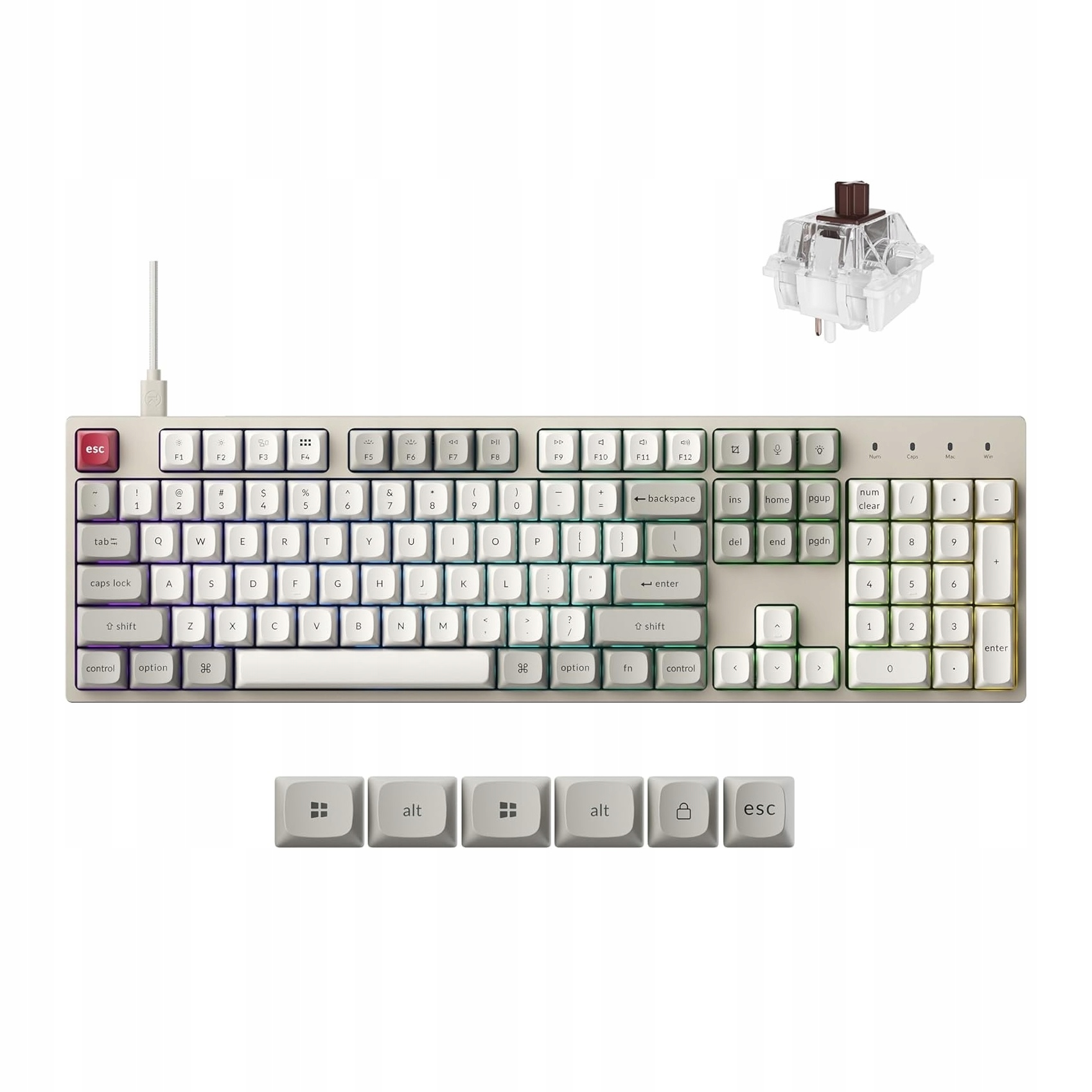 Hot-Swappable Super Brown Switches – Personalizacja w zasięgu ręki