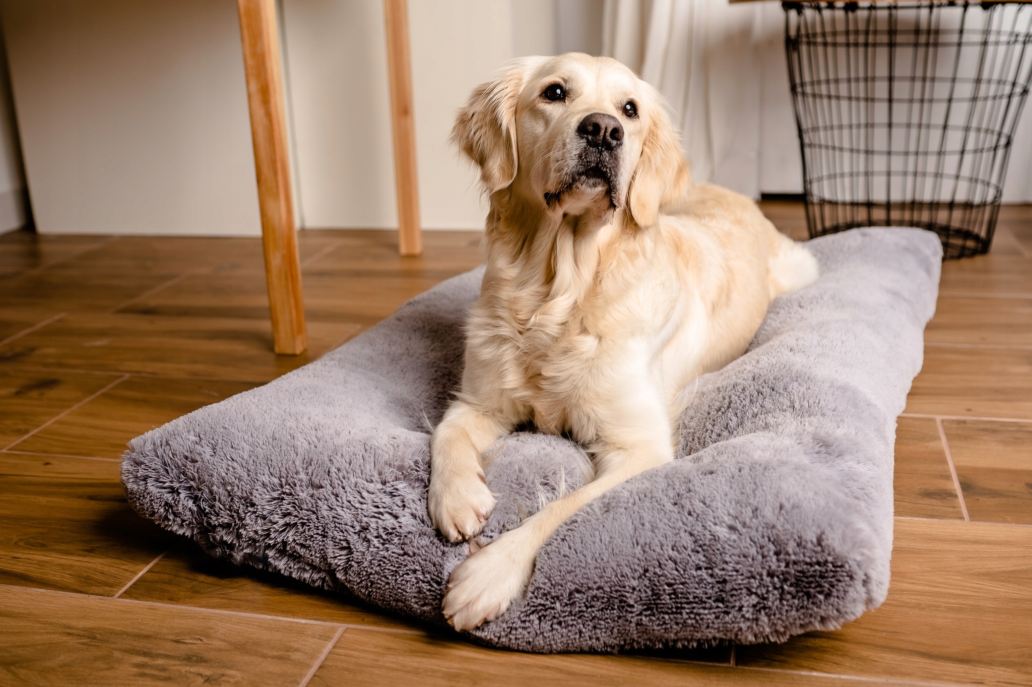 Mimikoko MIMIKO Pets Legowisko Shaggy prostokątne XXL 115x75cm szare – Luksusowe miejsce dla Twojego pupila