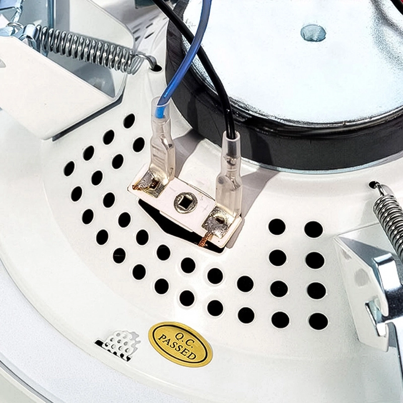 Kompatybilność z systemami 100V – Niezawodne rozwiązanie nagłośnieniowe