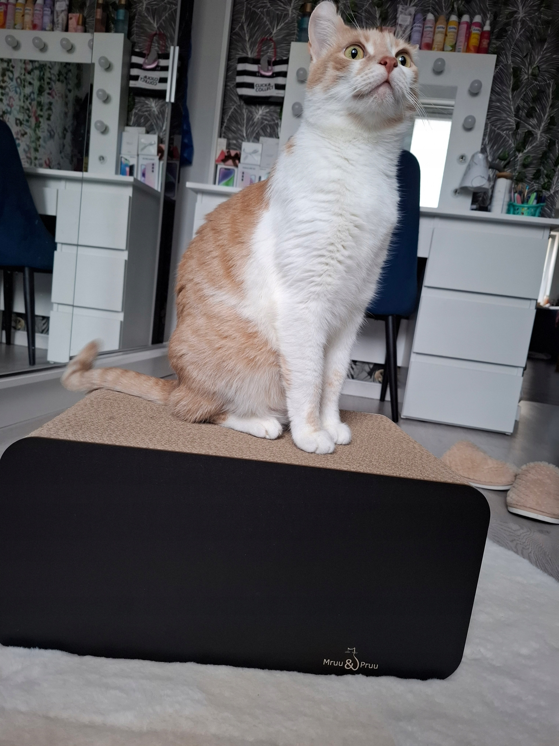 Drapak dla kota kartonowy legowisko Piksel Mruu&Pruu – Idealne miejsce do zabawy i relaksu