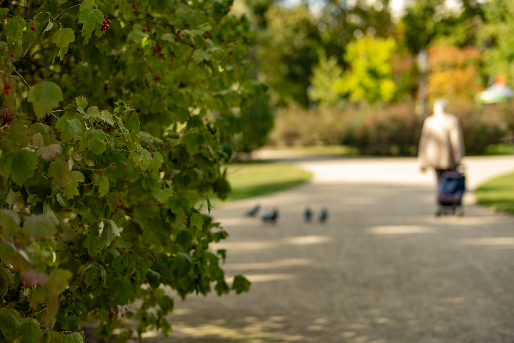 Obiektyw Voigtlander Nokton 50 mm f/1,2 do Fujifilm X