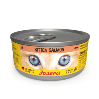 Kitten Salmon