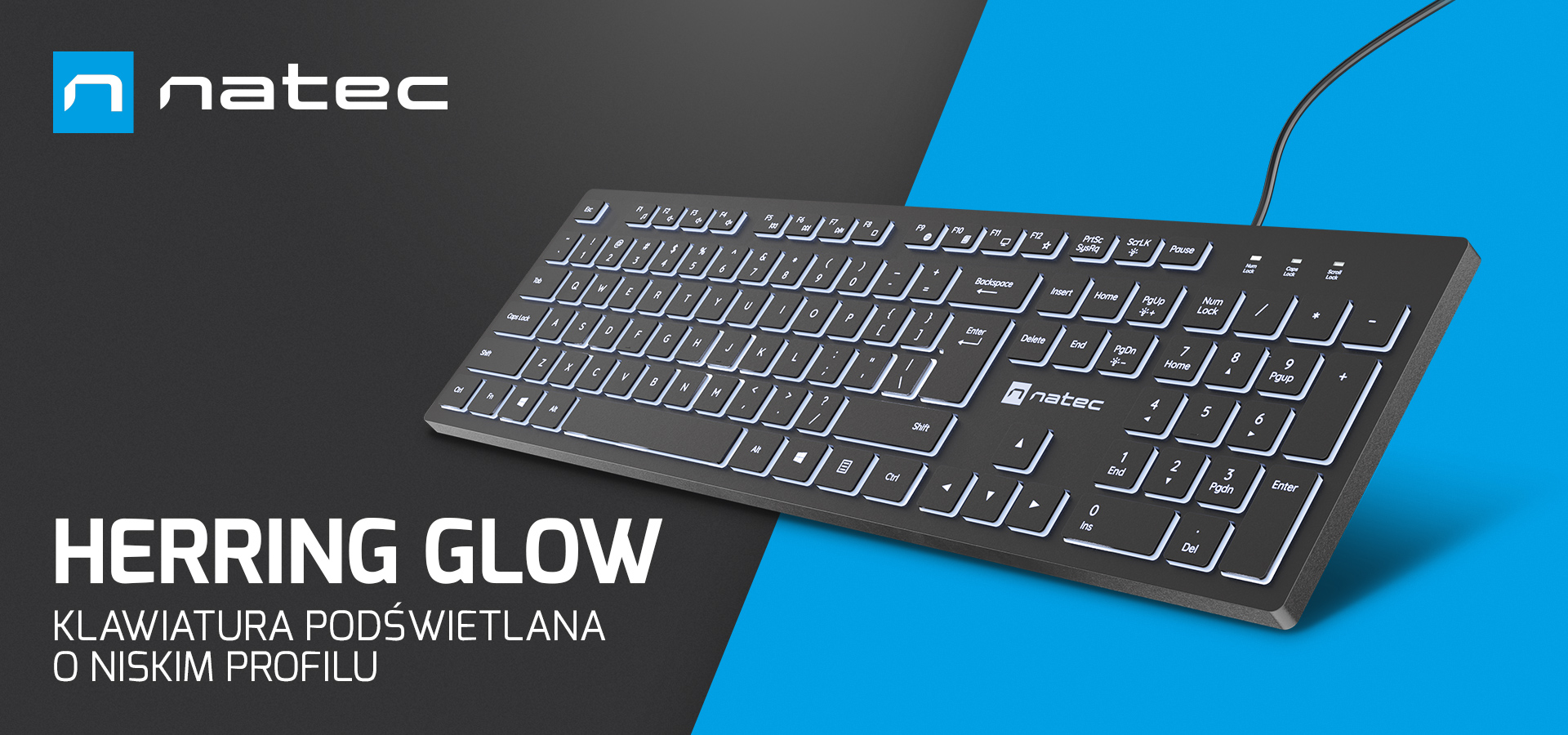 Klawiatura z niskoprofilową konstrukcją i białym podświetleniem, wyposażona w kabel połączeniowy