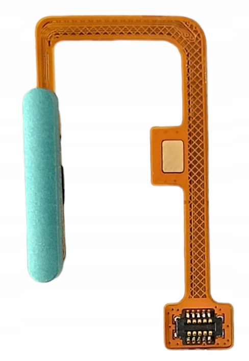 Kolor: Zielony (Mint Green) – stylowy wybór