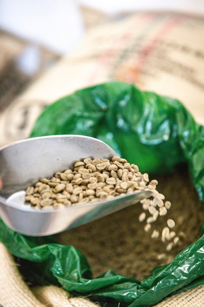 Jak zaparzyć idealną kawę COFFEE PLANT Intense?