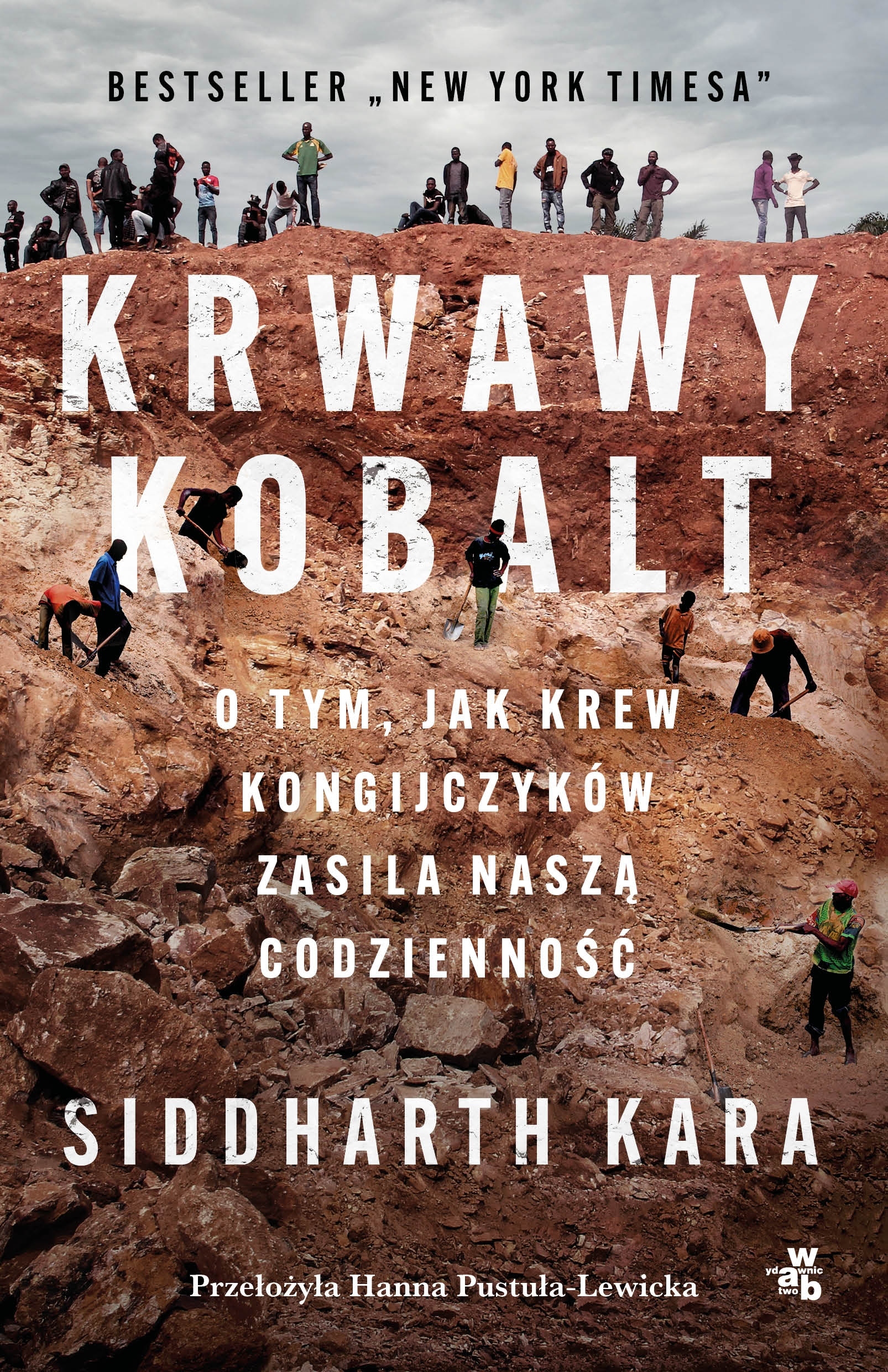 Krwawy kobalt – Wstrząsający reportaż o kobalcie i jego wpływie na ludzi
