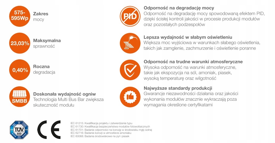 Srebrna rama – Estetyka i trwałość