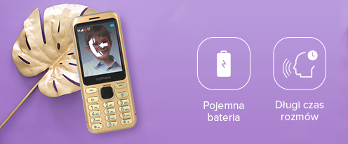 MyPhone Maestro