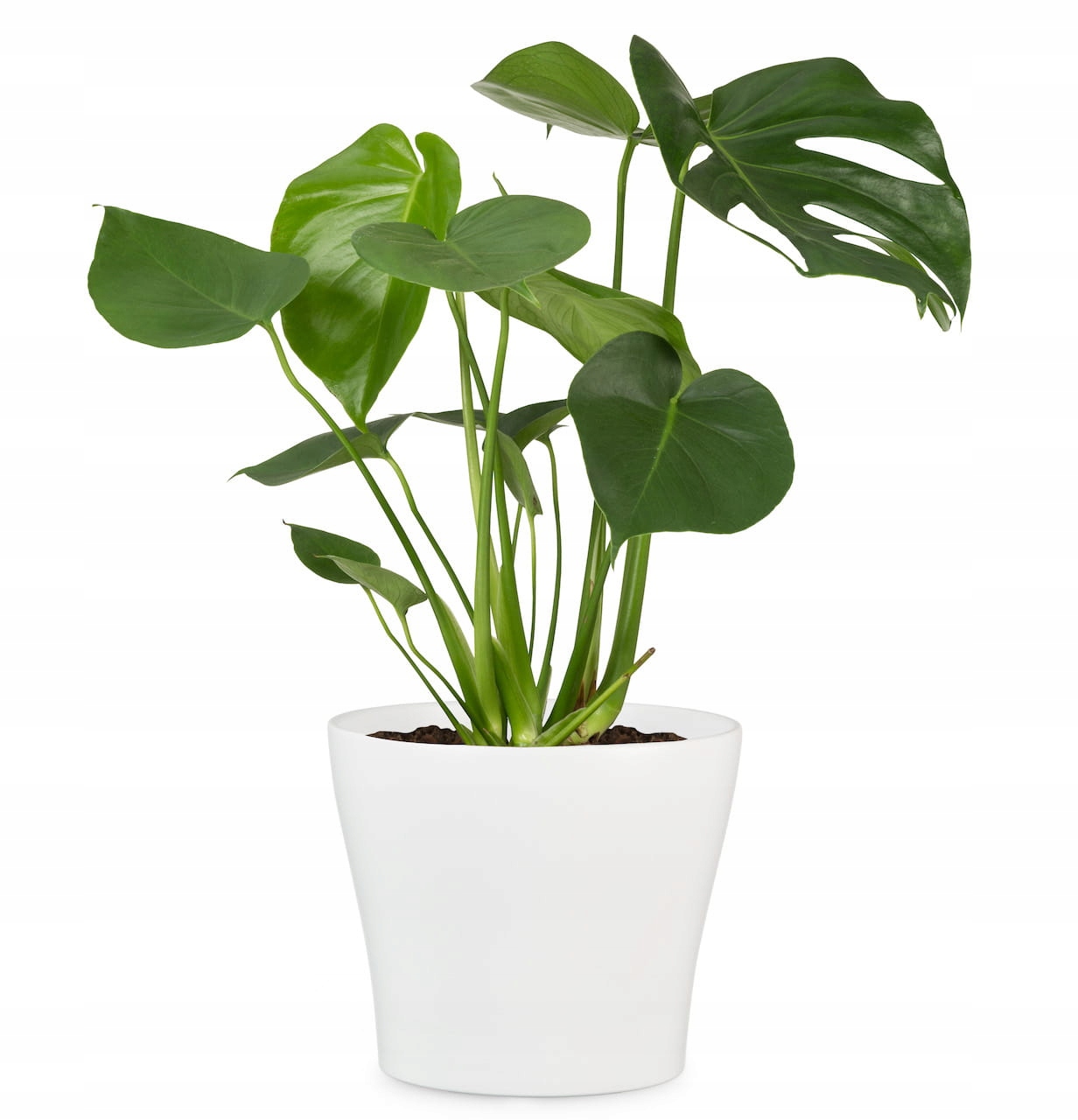 Doniczka FLOWER POT PANNA D11 WHITE – Elegancja i funkcjonalność w Twoim domu