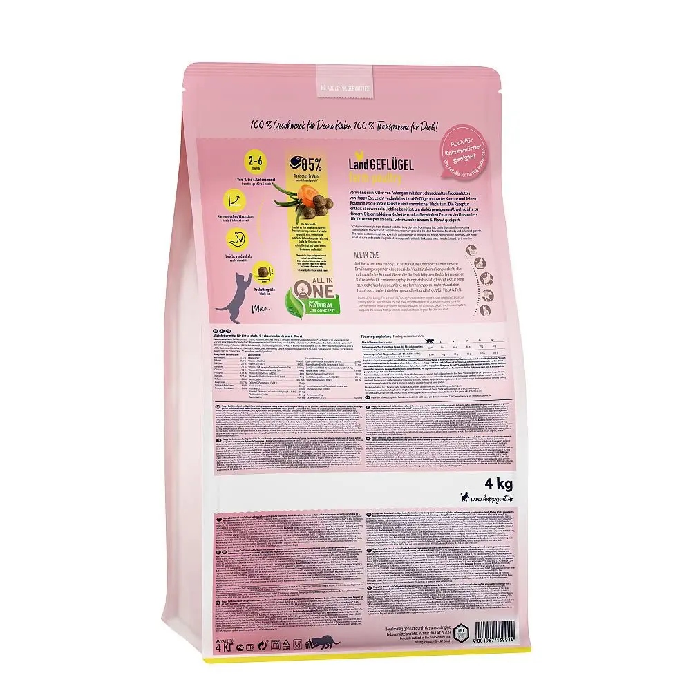 Jak prawidłowo karmić kocięta?