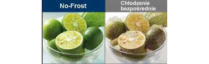 Technologia No-Frost