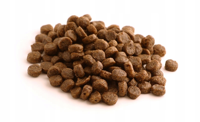 Hipoalergiczne składniki dla zdrowia pupila