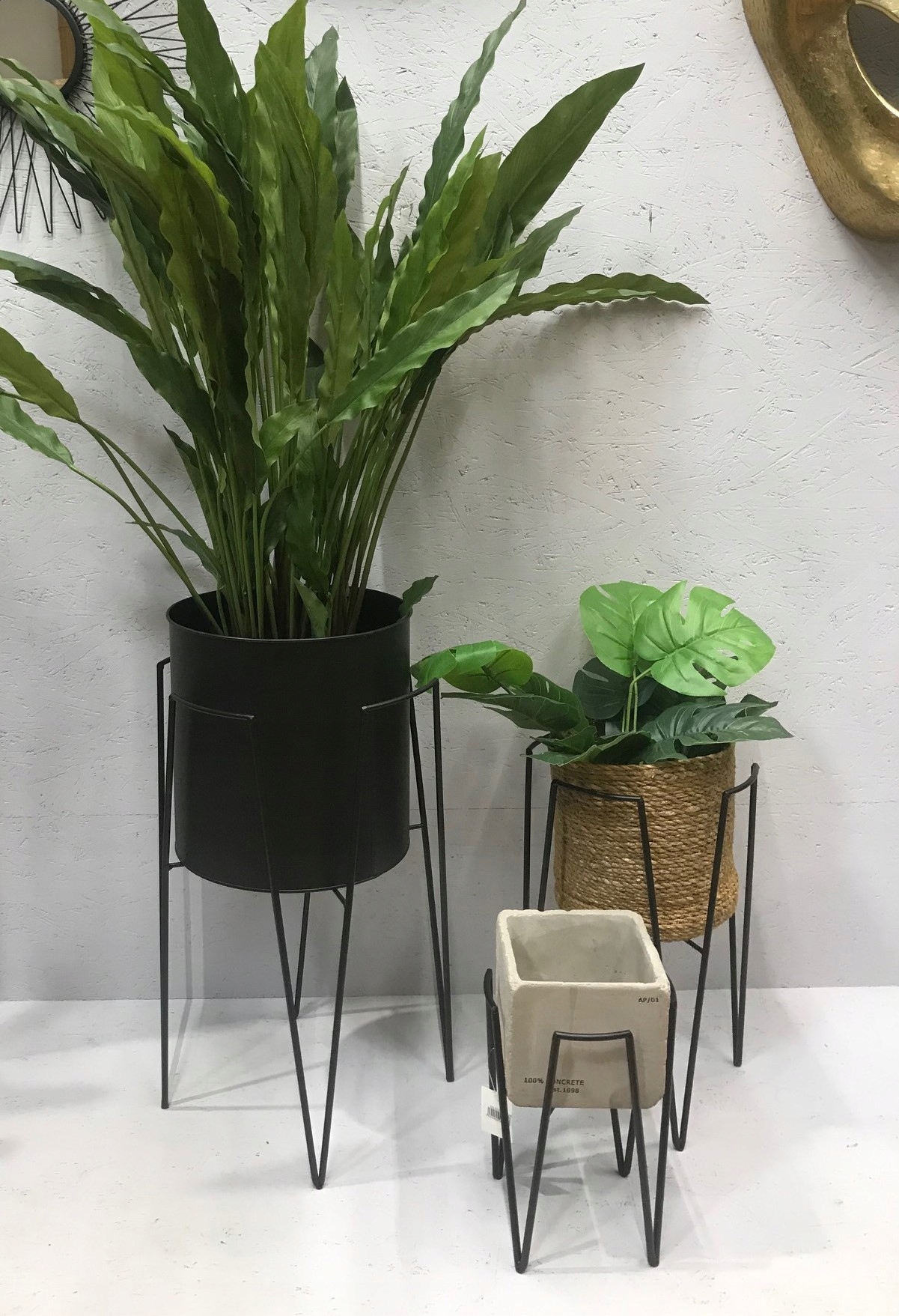 Stylowy design, który podkreśla piękno roślin