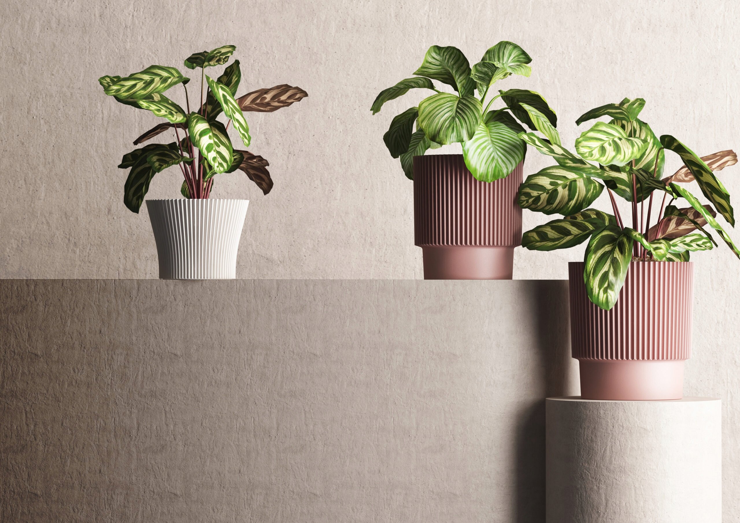 Doniczka okrągła LOTOS DLO15 – Idealna do Twojego ogrodu i wnętrza