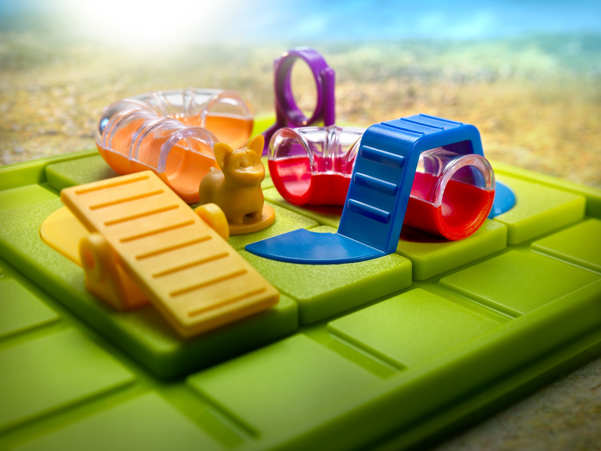 Rozwijanie umiejętności logicznego myślenia