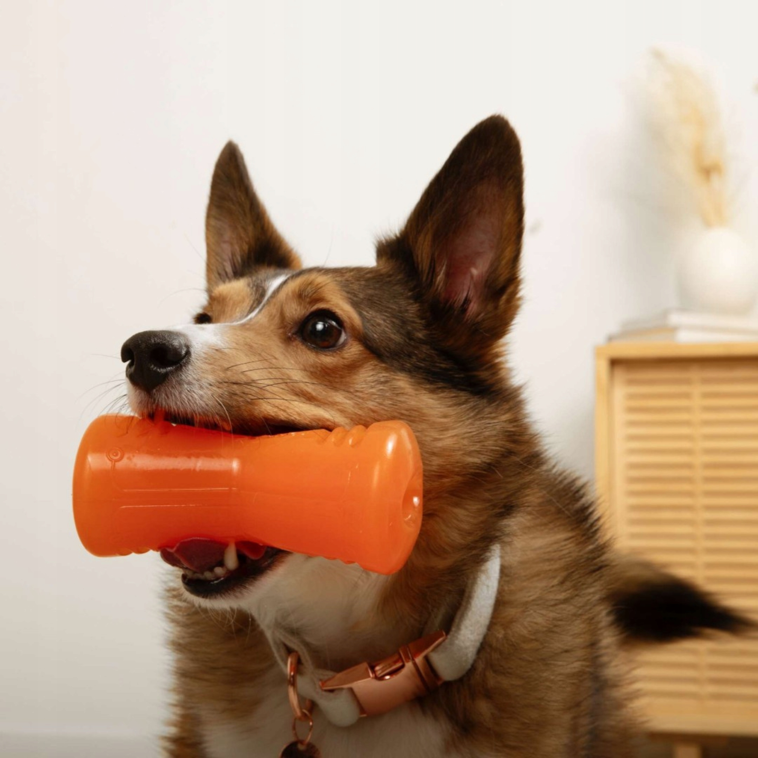 Bezpieczna i higieniczna zabawa – materiały wolne od BPA i ftalanów